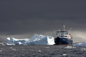 Falkland Islands - South Georgia - Antarctic Peninsula - Birding
